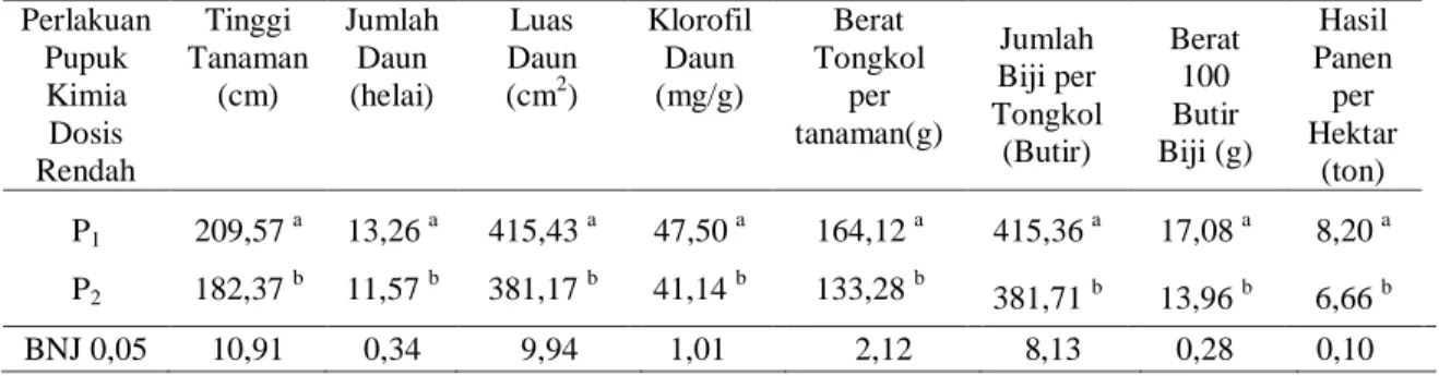 Tabel  2.  Pengaruh pemberian tingkat pemupukan kimia dosis rendah terhadap  peubah pengamatan  Perlakuan  Pupuk  Kimia  Dosis  Rendah  Tinggi  Tanaman (cm)  Jumlah Daun (helai)  Luas  Daun (cm2)  Klorofil Daun (mg/g)  Berat  Tongkol per  tanaman(g)  Jumla