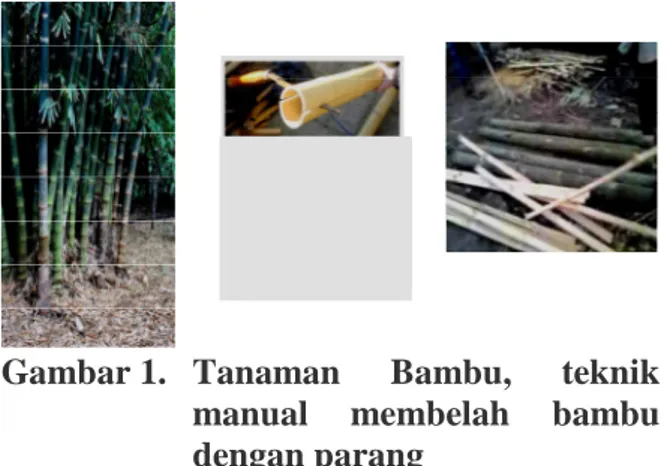 Gambar 1.   Tanaman  Bambu,  teknik 