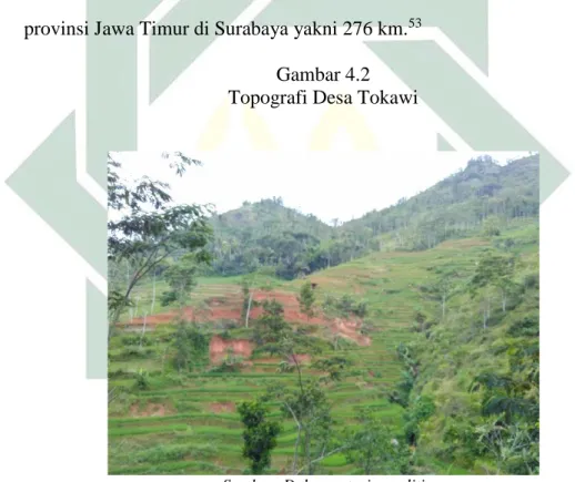 Gambar 4.2  Topografi Desa Tokawi 