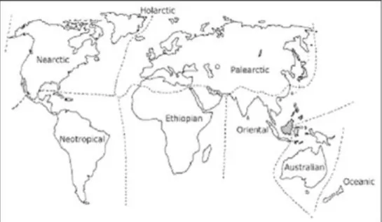 Gambar 1. Peta biogeografi fauna seluruh dunia menurut Wallace 
