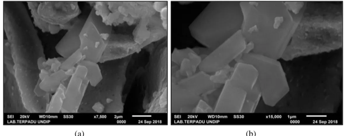 Gambar 3. Hasil analisis sampel nanopartikel perak dengan menggunakan SEM pada  (a) skala 2 µm (7,500 x) dan (b) skala 1µm (15,000x)