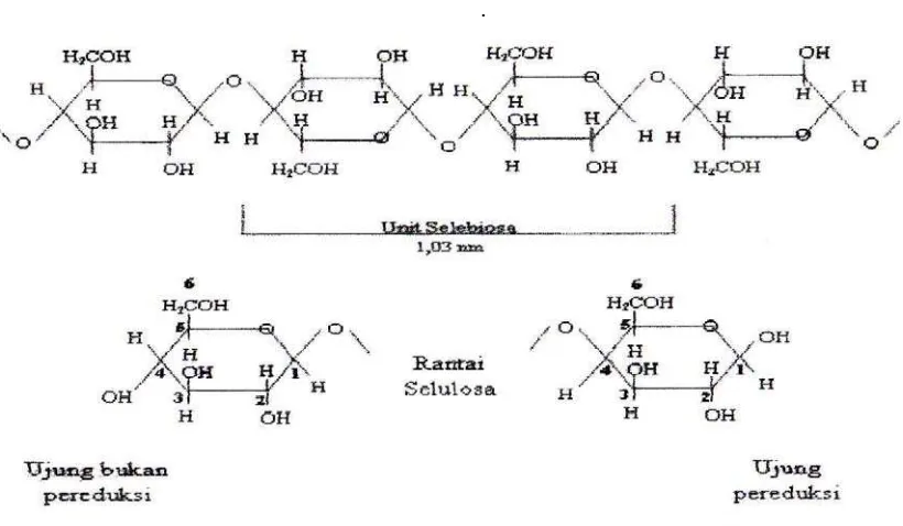 Gambar 2.2. Struktur molekul selulosa  
