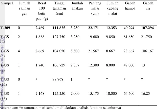 Tabel 4 Jumlah salinan gen menggunakan DNA yang diisolasi metode skala besar dengan fenotipe    tanaman padi 