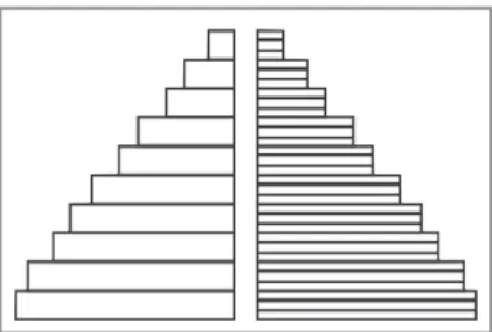 Gambar 2.8 Skema bentuk piramida ekspansif.