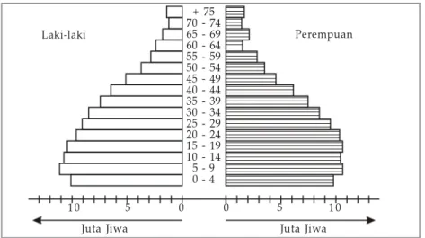 Gambar 2.11  Piramida penduduk Indonesia tahun 2005.