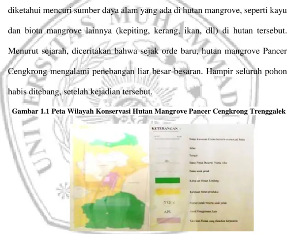 Gambar 1.1 Peta Wilayah Konservasi Hutan Mangrove Pancer Cengkrong Trenggalek 