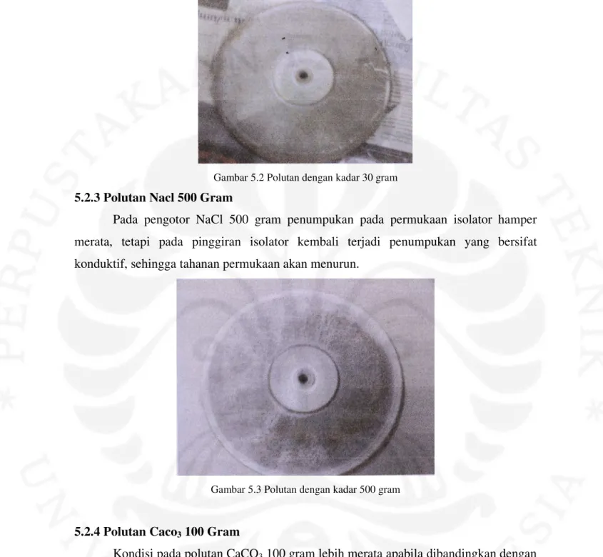 Gambar 5.2 Polutan dengan kadar 30 gram 