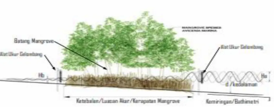Gambar 2. 9 Proses peredaman gelombang oleh mangrove   (Herison, 2013) 