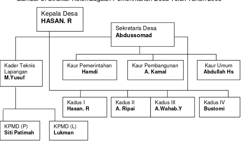 Gambar 3. Struktur Kelembagaan Pemerintahan Desa Teluk Tahun 2008 