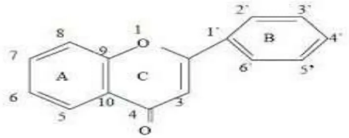 Gambar 2.1 Struktur Umum Senyawa Flavonoid (Harborne, 1987) 