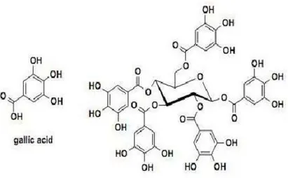 Gambar 2.1 Struktur Senyawa Tanin Terhidrolisis (Rahayu, 2008). 