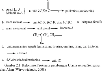 Gambar 2.1  Kelompok Prekursor pembangun Utama semua Senyawa  BahanAlam (Wiryowidagdo, 2008)
