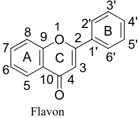 Gambar 2.2 Sistem penomoran pada Flavonoid (Robinson, 1995) 