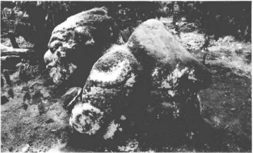 Fotn  19  Ar~a  megalitik  dari  Bclumai  Pagaralam  (tampak  samping) 