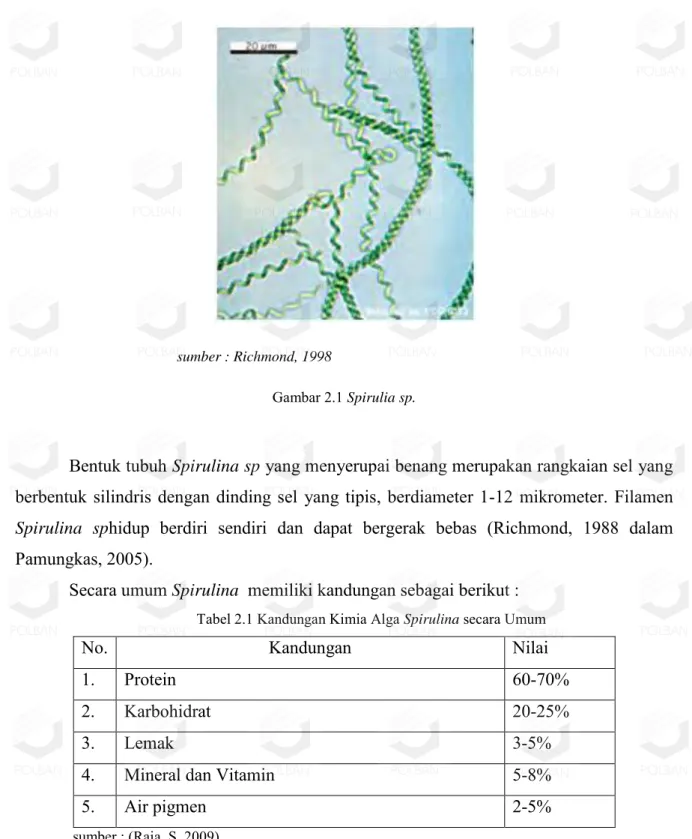 Gambar 2.1 Spirulia sp. 