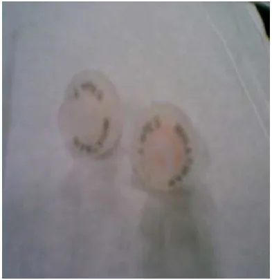 Gambar 15 Penyaring Whatman PTFE 0,2 µm 