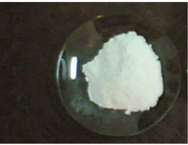 Gambar 2. 2 Mikrokristalin selulosa 