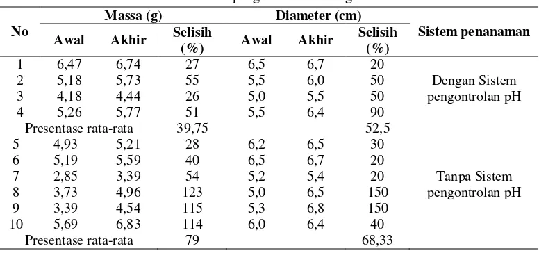 Tabel 3 Hasil pengukuran Bawang Merah 