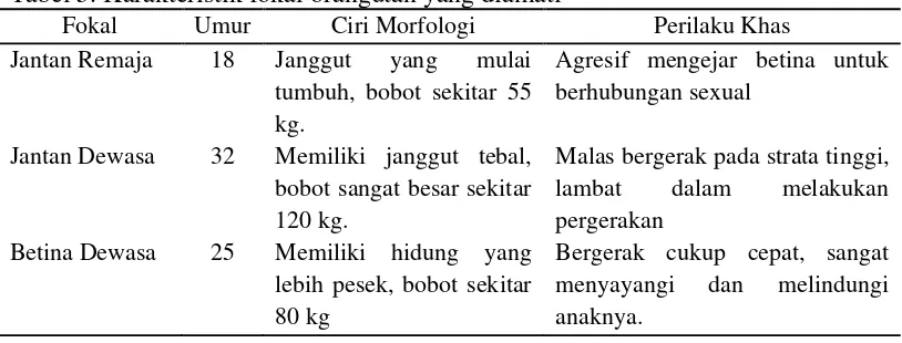 Tabel 5. Karakteristik fokal orangutan yang diamati 