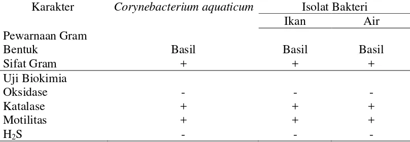 Tabel 3. Hasil pengamatan morfologi sel berupa pewarnaan Gram dan uji biokimia           