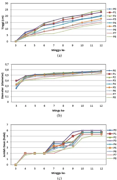 Gambar 4. Grafik setiap parameter yang diamati pada pengamatan 3MST-12 MST (a) Tinggi rata-rata bibit, (b) Diameter rata-rata bibit, (c) Jumlah daun rata-rata bibit             