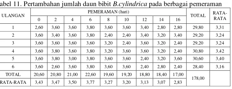 Tabel 11. Pertambahan jumlah daun bibit B.cylindrica pada berbagai pemeraman 