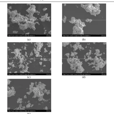 Gambar 2  Morfologi permukaan (a) Sampel 1 (b) sampel 2 (c) sampel 3 (d) Sampel 4        (e) Sampel 5  