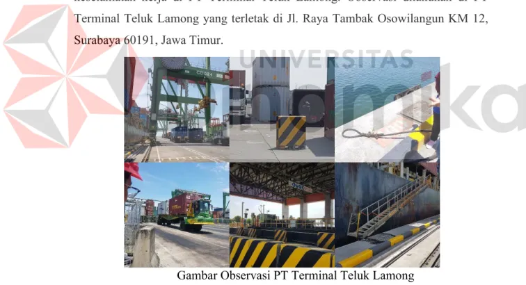 Gambar Observasi PT Terminal Teluk Lamong 