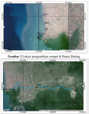 Gambar 1 Lokasi pengambilan sampel di Pantai Padang 