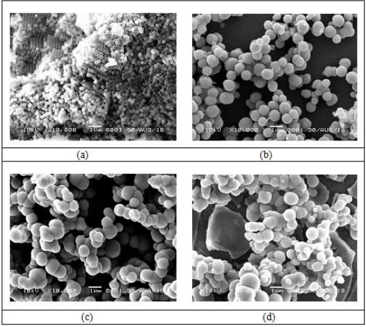 Gambar 4  (a) Morfologi permukaan opal  (b) Morfologi permukaan lapisan tipis nanopartikel TiO2 dengan konsentrasi 3%, (c) Morfologi permukaan lapisan tipis nanopartikel TiO2 dengan konsentrasi 6% dan (d) Morfologi permukaan lapisan tipis nanopartikel TiO2