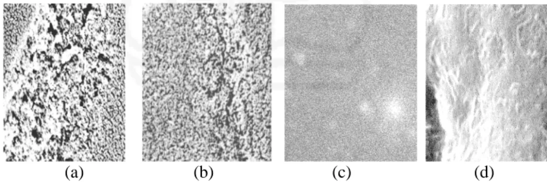 Gambar IV.2. Fotografi SEM (pembesaran 10.000 kali) terhadap permukaan resin   Amberlite XAD16 (a) sebelum impregnasi (b) setelah impregnasi  dengan D 2 EHPA 10/90 %b/b (c) setelah impregnasi dengan 