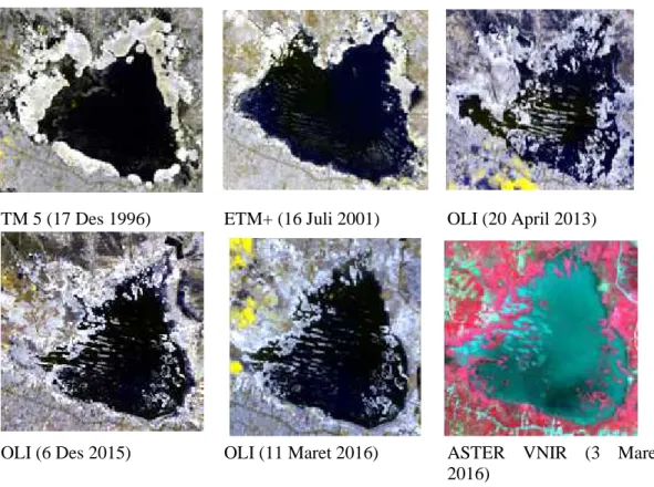 Gambar 3. Kenampakan citra Landsat Danau Limboto multitemporal komposit RGB (Red : NIR+SWIR, Green : NIR, Blue : NIR-Merah) dan ASTER VNIR (RGB 321)