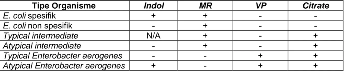 Tabel H.2 - Hasil reaksi Indole, Methyl Red, Voges- Proskauer, Citrate (IMViC)  terhadap E