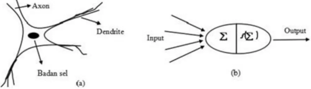 Gambar 2.3 Neuron Secara Biologi(a) dan Representasinya dalam ANN (b)  (Wulandari&amp; Lili, 2017) 