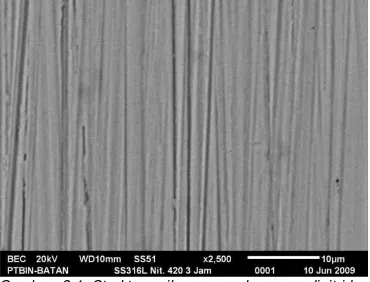 Gambar 3.2 Struktur mikro sampel yang  dinitridasi  pada temperatur 500oC selama 3 jam