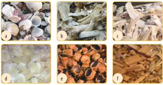 Gambar 1.4. Berbagai Limbah keras keras; a. cangkang kerang laut, b. tulang sapi, c. tulang ikan, d