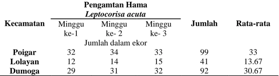Tabel  1.    Perkembangan  Populasi  Walang  sangit  (L.  acuta)  pada  tiga  Kecamatan  Di  Kabupaten Bolaang Mongondow 