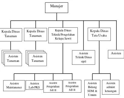 Gambar 4.1 Struktur Organisasi PT. Perkebunan Nusantara II (Persero) 