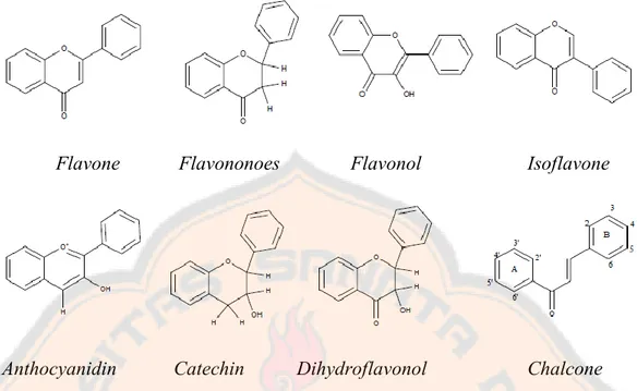 Gambar 1. Struktur kimia dari beberapa tipe flavonoid (Shandar, et al., 2011).  Flavonoid  (bagian  glikosida)  dapat  terdegradasi  oleh  aksi  enzim  ketika  diambil  dari  material  tanaman  yang  masih  segar  atau  tidak  dikeringkan