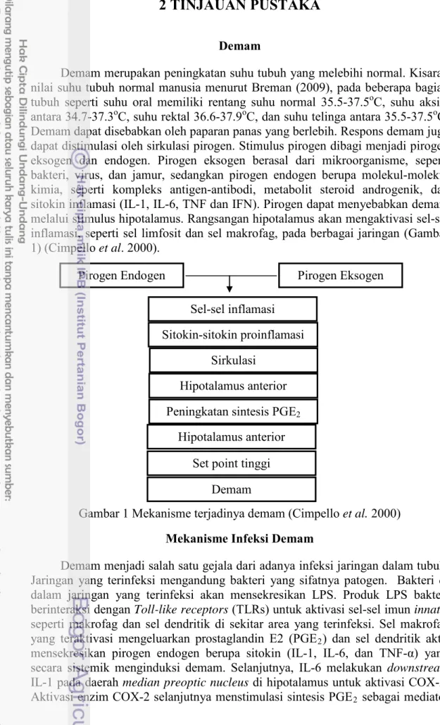 Gambar 1 Mekanisme terjadinya demam (Cimpello et al. 2000)  Mekanisme Infeksi Demam 