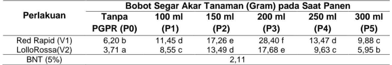 Tabel  2 .  Rerata  Bobot  Segar  Konsumsi  Tanaman  Selada  Merah  Pada  Saat  Panen  Dengan  Perlakuan Berbagai Macam Dosis Plant Growth Promoting Rhizobacteria (PGPR) dan  Perbedaan Varietas 