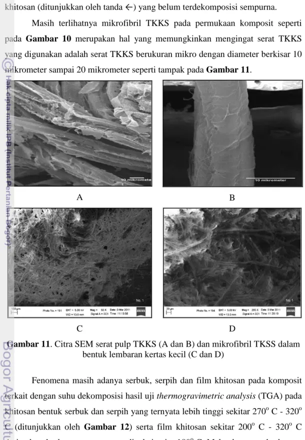 Gambar 11. Citra SEM serat pulp TKKS (A dan B) dan mikrofibril TKSS dalam 