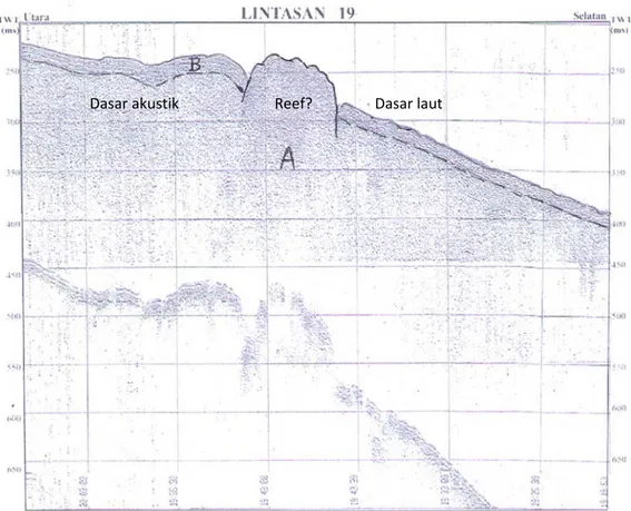 Gambar 5. Interpretasi Rekaman Seismik di Lintasan L19