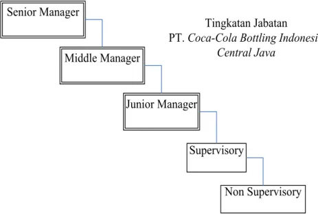 Gambar 4. Tingkatan Jabatan PT Coca Cola Bottling Indonesia  