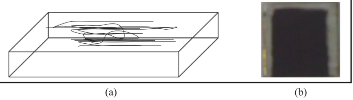 Gambar 3.2 (a) Ilustrasi pola pada kaca, dan (b) Kaca terkarbonisasi