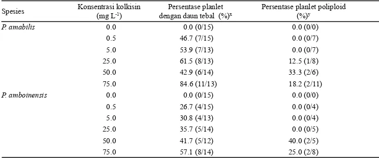 Tabel 2.  Persentase planlet Phalaenopsis amabilis dan Phalaenopsis amboinensis dengan daun tebal dan planlet poliploid