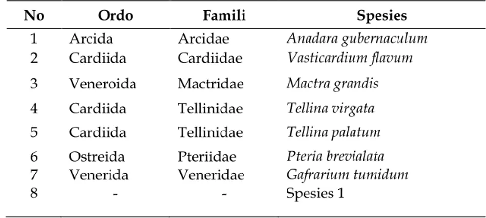 Tabel 1. Hasil klasifikasi Bivalvia yang ditemukan di Pantai Barung Toraja Sumenep, Madura 