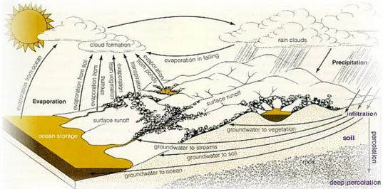 Gambar 1  Siklus Hidrologi 