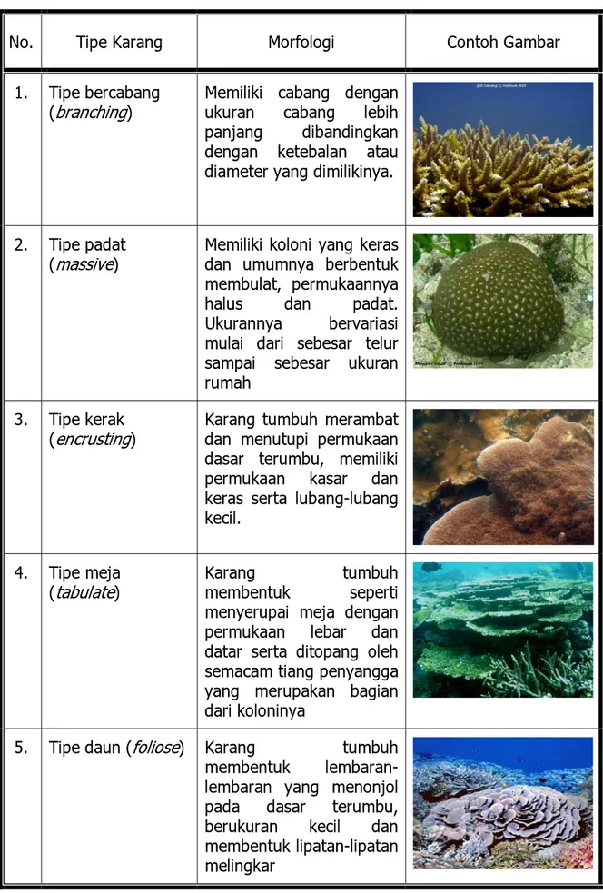 Tabel 1. Tipe karang berdasarkan morfologi dan contoh gambarnya. 