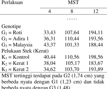 Table  1.  Rataan  tinggi  tanaman  (cm)  pada  4  MST, 8 MST, dan 12 MST. 